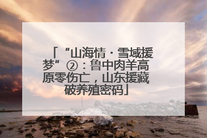 “山海情・雪域援梦”②：鲁中肉羊高原零伤亡，山东援藏破养殖密码